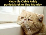 Blue Monday. Dziś przypada najbardziej depresyjny dzień w roku. Humor poprawią wam MEMY