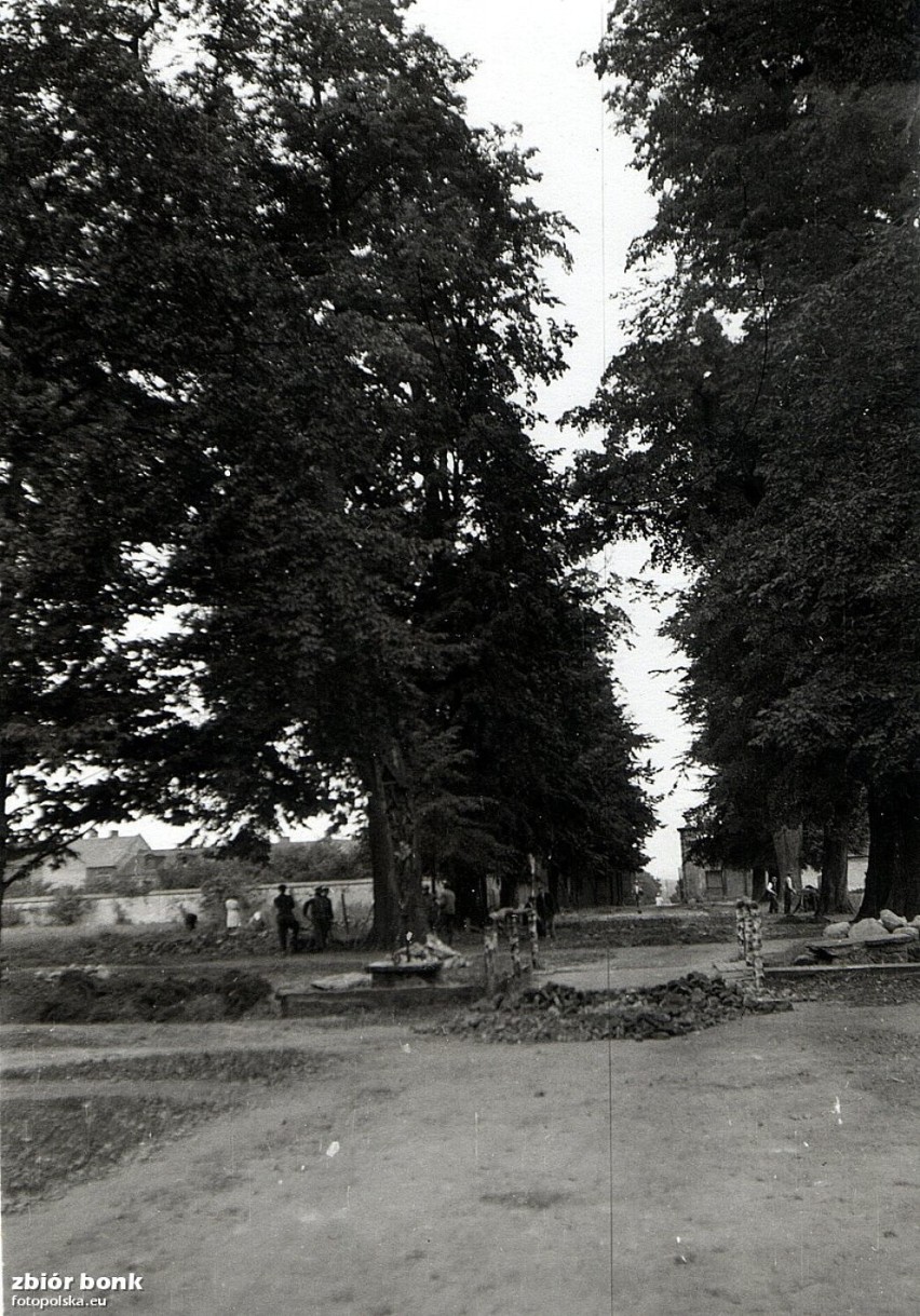 1949, Aleja parkowa - około 1949 roku.