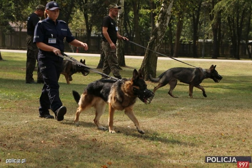 Kaliska policjantka sier. szt. Patrycja Wojtas na najwyższym...