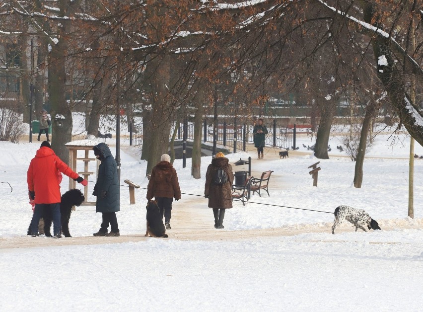 Zima w Radomiu. Park Leśniczówka w białej szacie. Zobacz zdjęcia