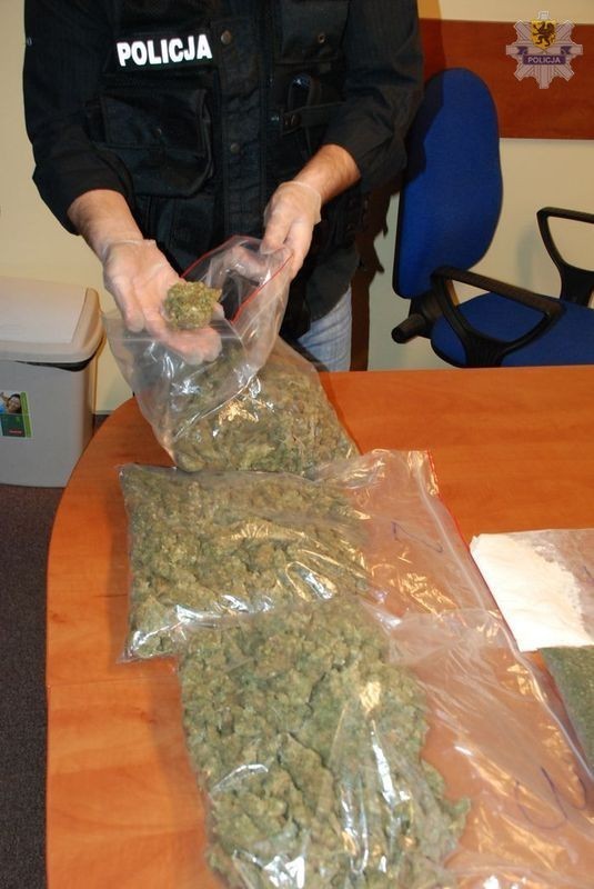 KMP Słupsk: Prawie 2 kg marihuany i amfetamina w mieszkaniu [ZDJĘCIA]