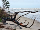 Sztorm i burza uderzyły w plażę w Jarosławcu. Obraz zniszczeń ZDJĘCIA