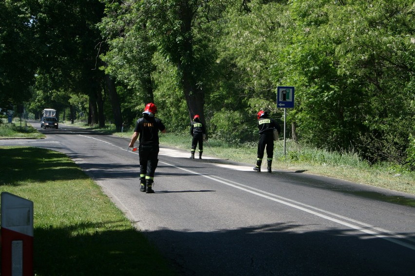 Przez kilkadziesiąt minut sierakowscy strażacy sprzątali plamę oleju napędowego