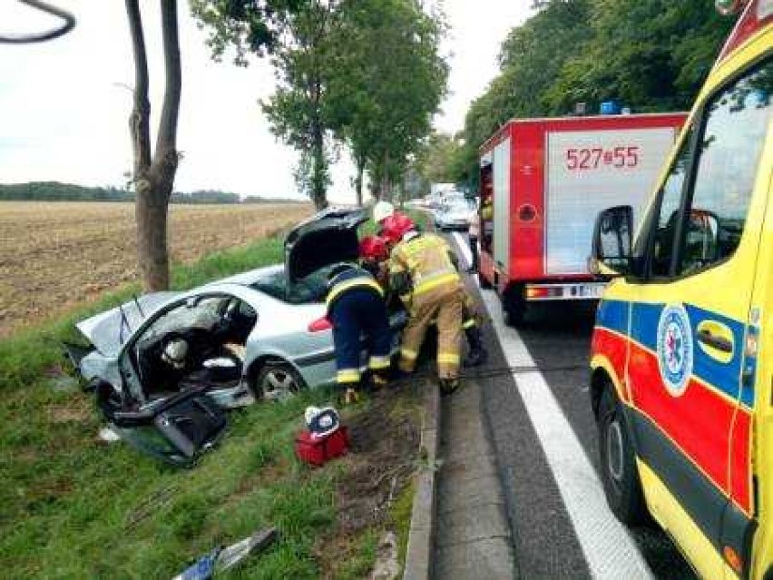 Groźny wypadek na DK-6. Peugeot uderzył w drzewo. Seat zjechał z drogi i dachował