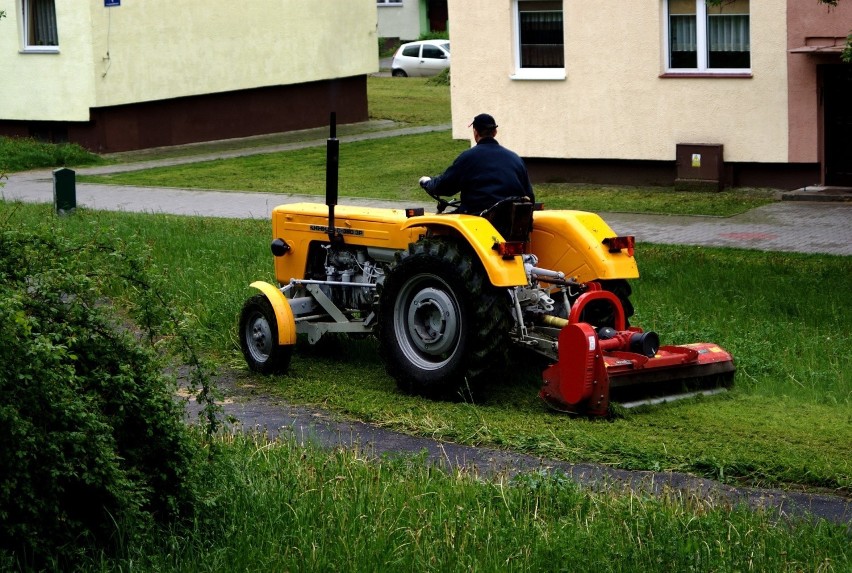 W Dąbrowie Górniczej nie wszystkie trawniki będą koszone...