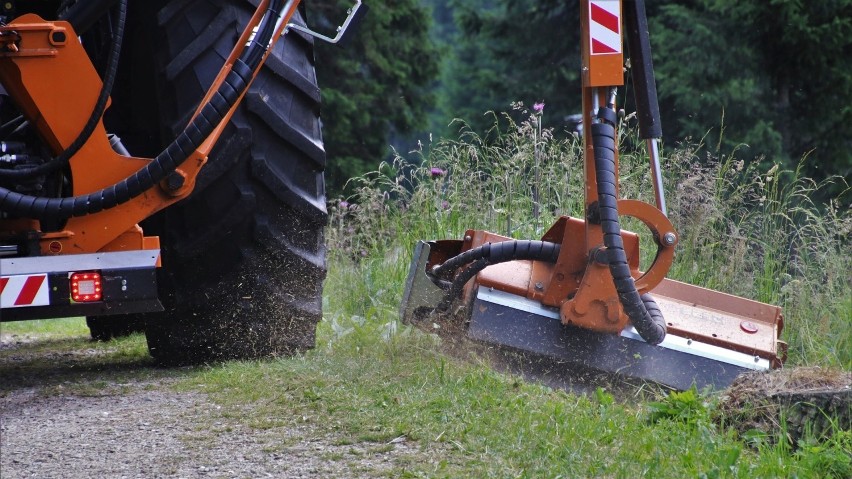 W Dąbrowie Górniczej nie wszystkie trawniki będą koszone...