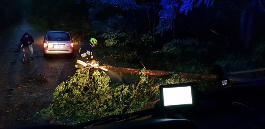 Gostyń. Powalone drzewa, uszkodzone auta i brak prądu. Silny wiatr i ulewne deszcze dały się we znaki [ZDJĘCIA] 