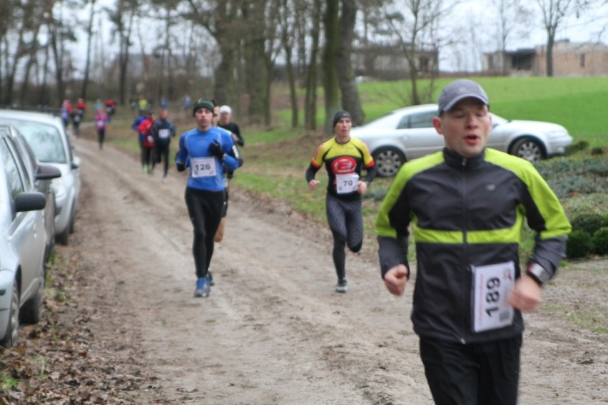 II Cross Wiecha w Nowej Dąbrowie pod Wolsztynem