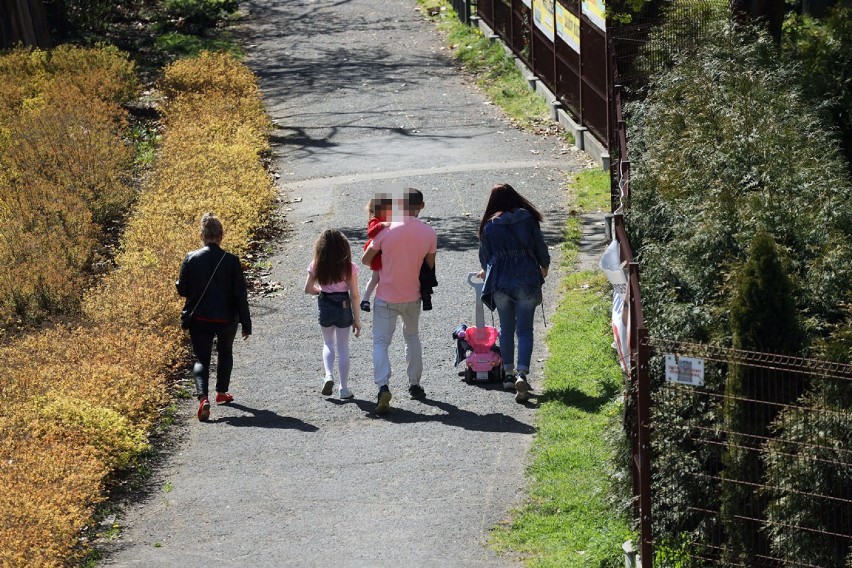 Legnica: Świąteczne popołudnie z koronawirusem w tle [ZDJĘCIA]