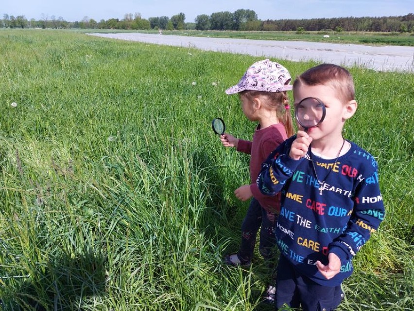 Czempiń. Przedszkolaki poznawali uroki majowej łąki