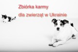 Włącz się do zbiórki karmy dla zwierząt na Ukrainie. Akcja powiatu myszkowskiego 