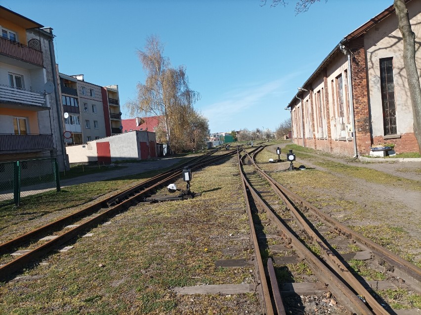 Żuławska Kolej Dojazdowa rozpocznie kursy w majówkę. Kursy na trasie Prawy Brzeg Wisły - Sztutowo