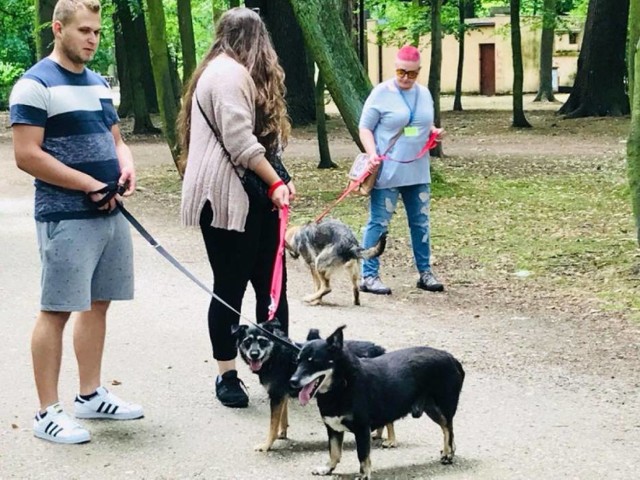 Sobotni spacer z czworonogami z kaliskiego schroniska rozpocznie się wcześniej