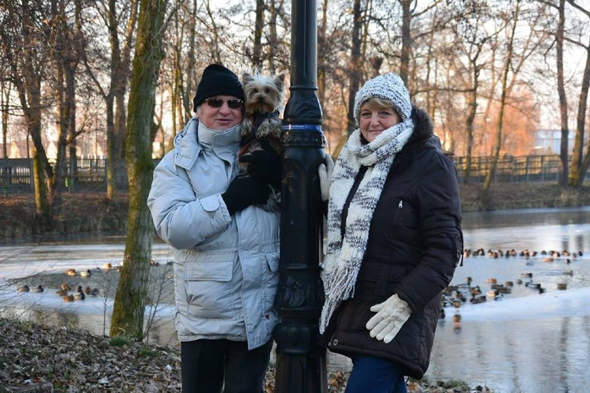 Zima w Pleszewie, Gołuchowie, nad Prosną w Gizałkach 2016