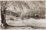 Kamionki na starych fotografiach. Wieś u podnóża Gór Sowich w latach 1918-1938