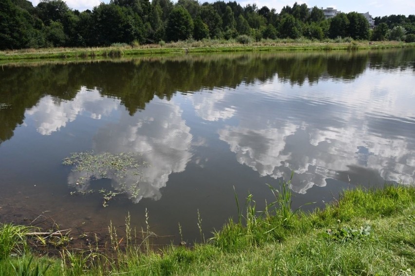 Dramat nad zalewem w Kielcach. Znaleziono ciało kobiety. Co się stało? [WIDEO]