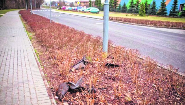 Jak reaguje gnieźnieńska policja?