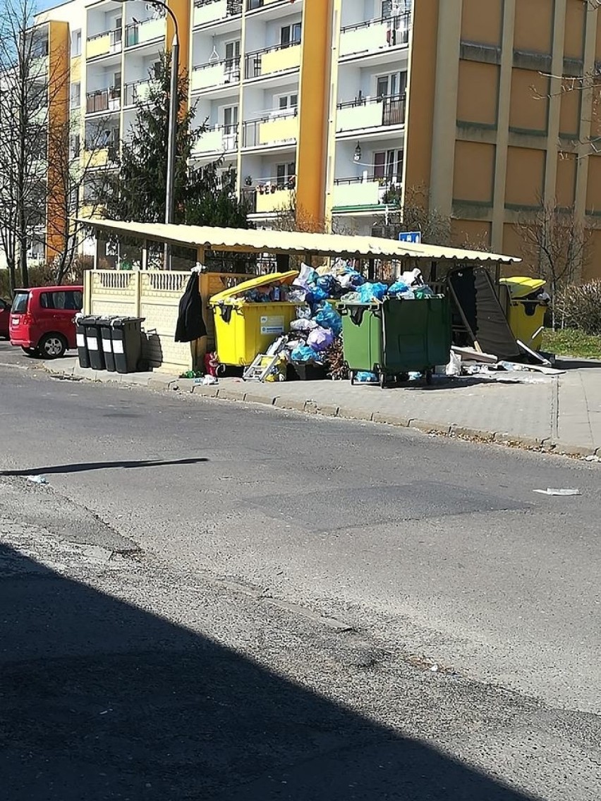 Bydgoskie ulice toną w śmieciach. Szczury się cieszą... [zdjęcia]