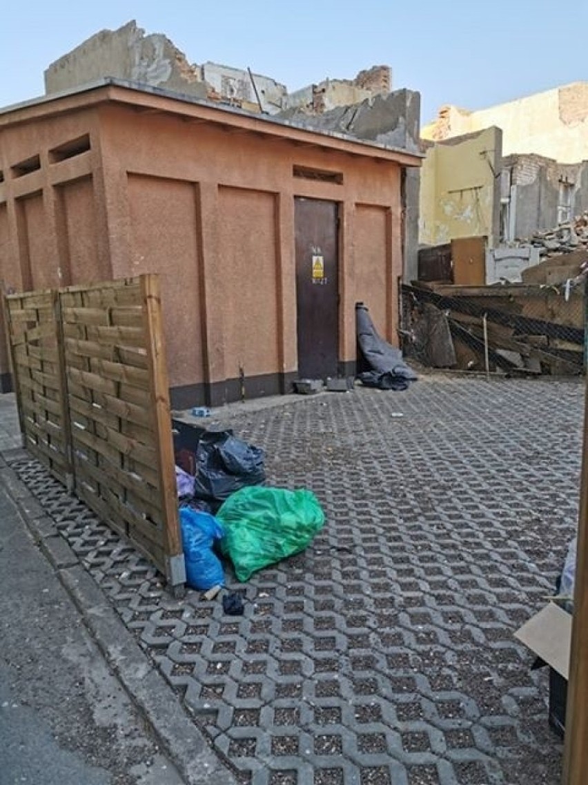 Bydgoskie ulice toną w śmieciach. Szczury się cieszą... [zdjęcia]