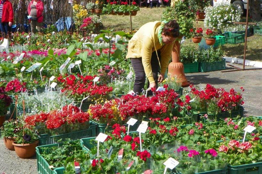 Agro Targi w Starej Łubiance już po raz 22.