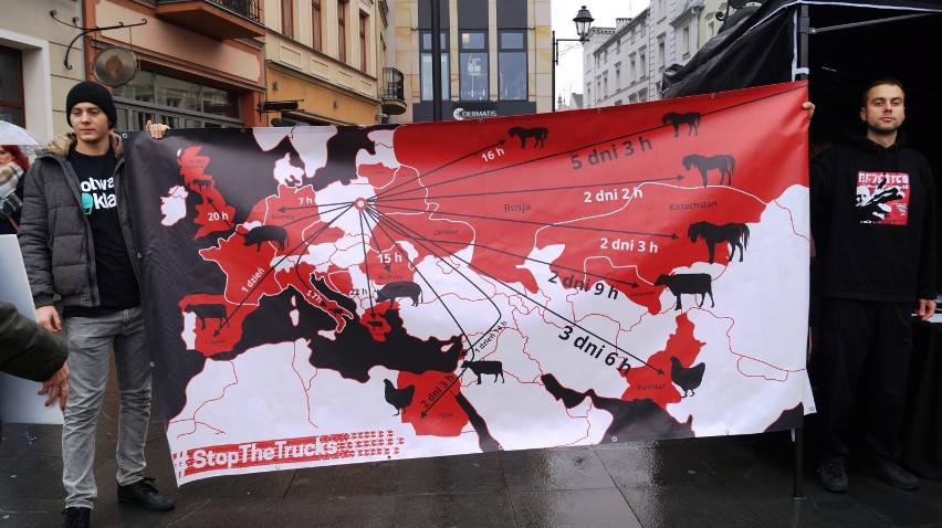 Akcja Stop the Trucks w Bydgoszczy [zdjęcia, wideo]