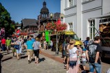 Ogródek Food Trucków, czyli Festiwal Smaków Świata w Szczawnie Zdroju (ZDJĘCIA)