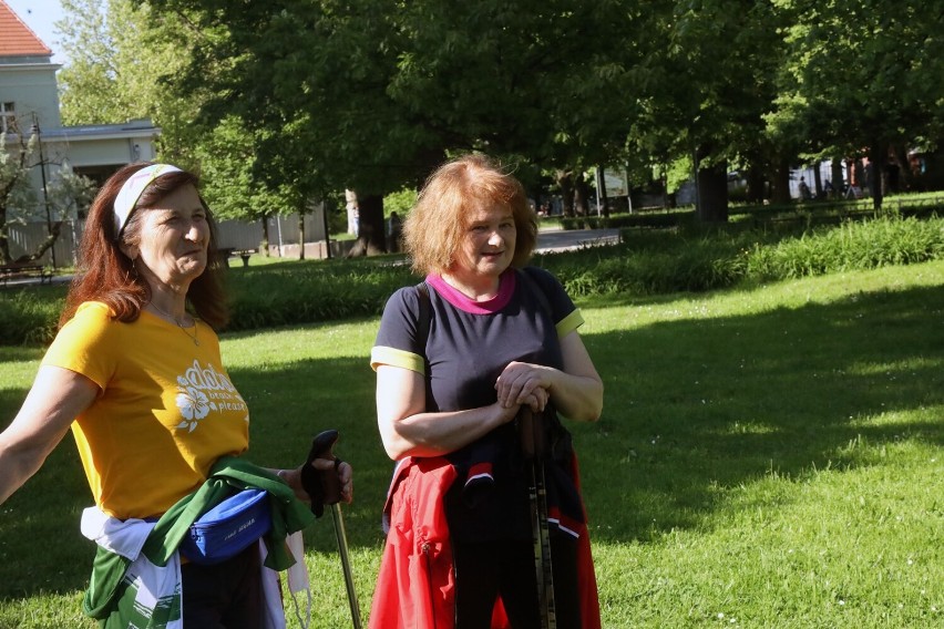 Rozpoczęły się zajęcia Nordic Walking SENIOR w Legnicy, zobaczcie zdjęcia