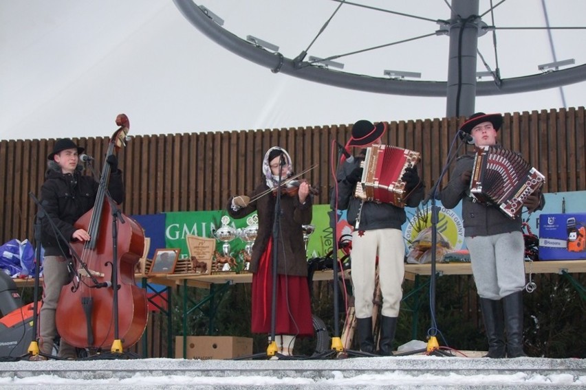 Węgierska Górka: Międzynarodowe Zawody Furmanów 2013 [ZOBACZ ZDJĘCIA]