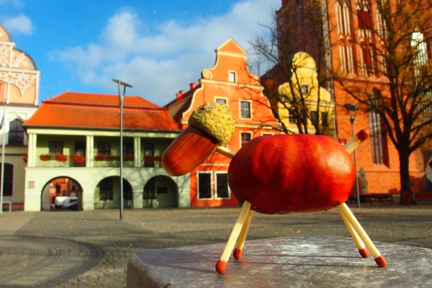 Mała galeria - Barwy stargardzkiej jesieni 