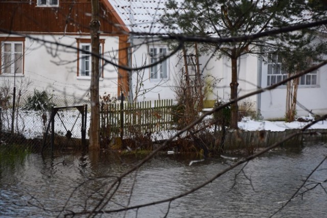 Powiat nowodworski. Stan pogotowia przeciwpowodziowego ogłoszono na terenie powiatu nowodworskiego. Zjawisko cofki, według najnowszych prognoz, ma się utrzymywać do wtorkowego popołudnia.