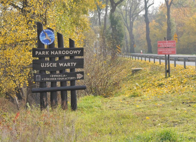 Park Narodowy "Ujście Warty" szykuje wycieczkę, której uczestnicy będą szukać oznak wiosny.