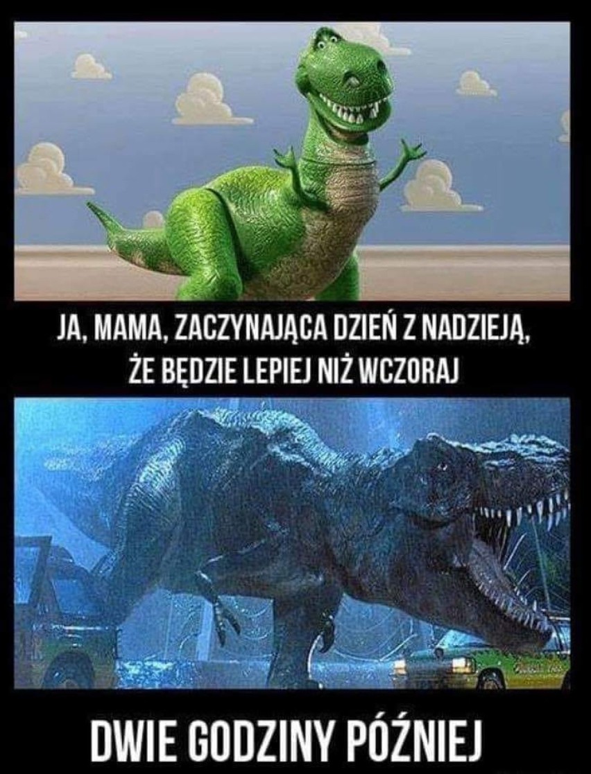 Te memy o byciu rodzicem rozbawią cię do łez - zwłaszcza,...