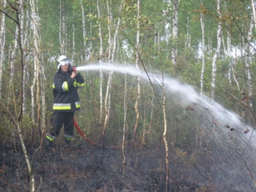pożar w rezerwacie Torfowisko Karaska
