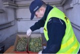 Gmina Lwówek: Przejęli 4 kg narkotyków