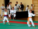 Poznań: Turniej karate na Ratajach