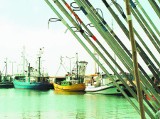 Miliony euro przeznaczone dla rybaków mogą przepaść