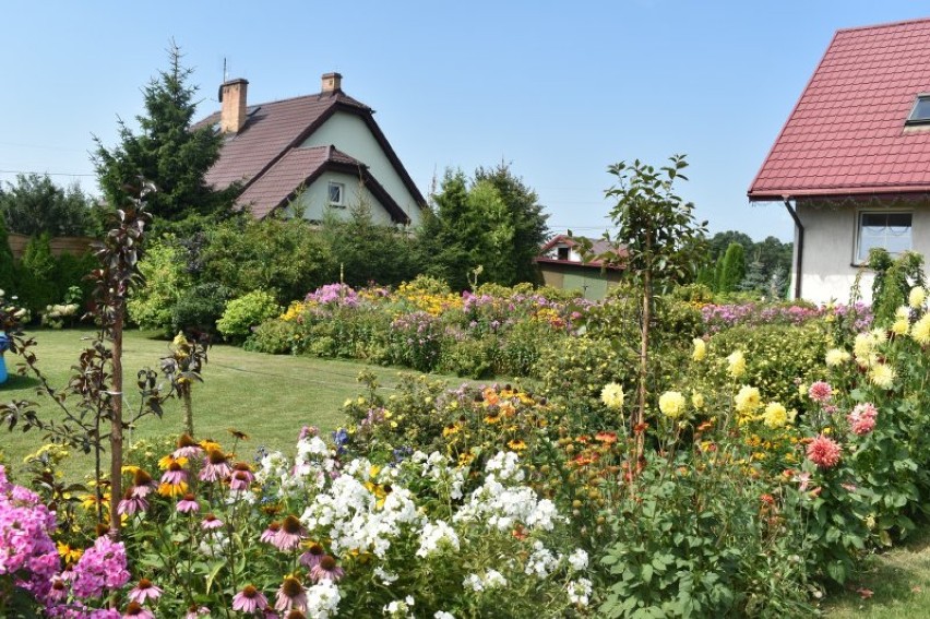 W gminie Bakałarzewo komisja wybrała 5 najładniejszych ogrodów [ZDJECIA]