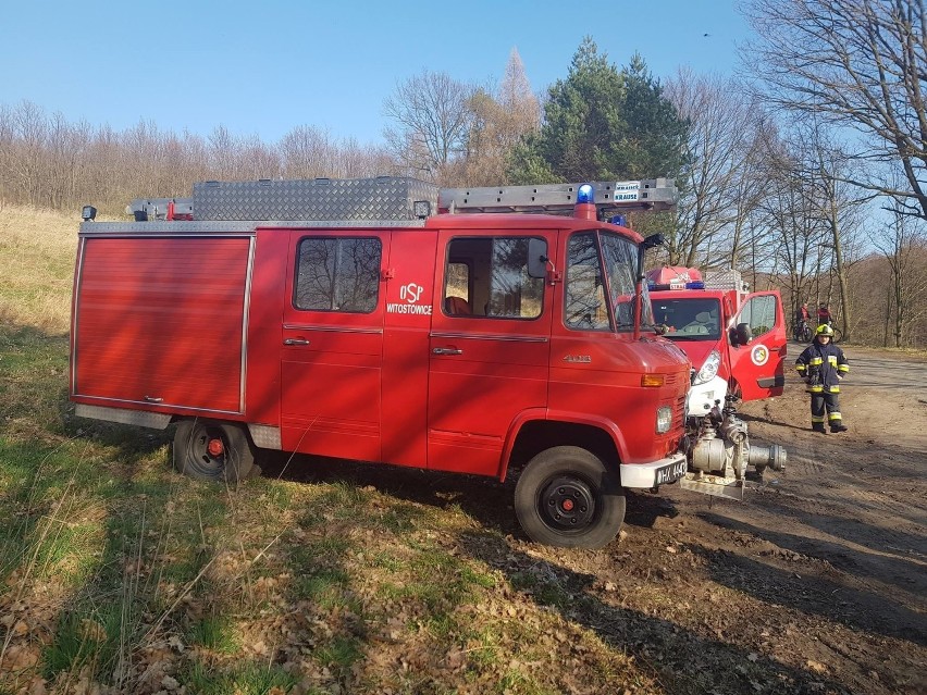 Dolny Śląsk. Młoda rowerzystka wypadła z trasy i uderzyła w drzewo. Niestety, zmarła...