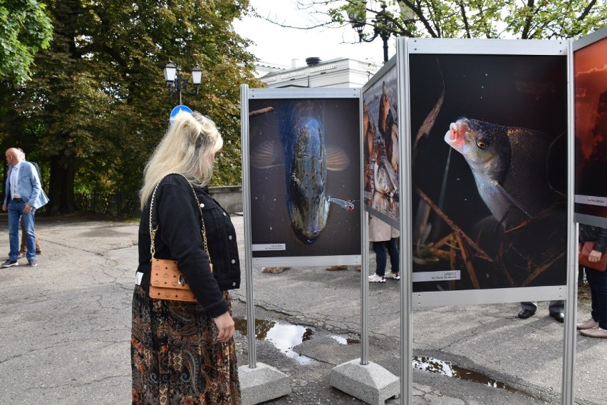 Wystawę można podziwiać do 8 września w Parku Miejskim