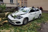 Wichura w Kluczborku. Na parkingu obok starostwa powiatowego runęło drzewo i zniszczyło samochody [ZDJĘCIA]