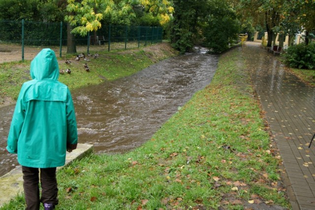 Zagórska Struga, Rumia