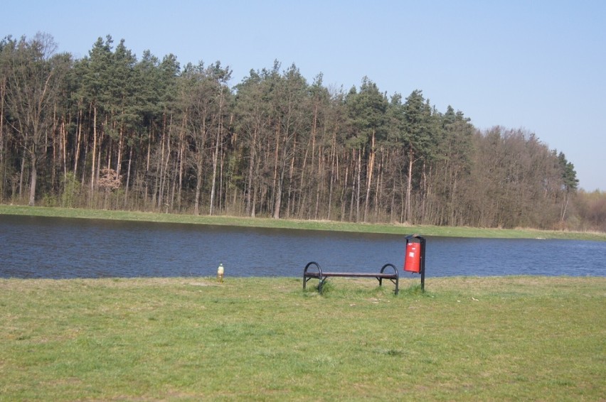 Ruch Narodowy w Radomsku pyta urząd miasta o inwestycje na Wymysłówku