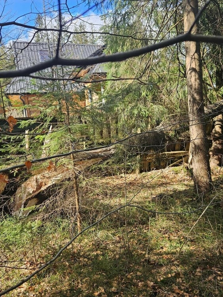 Halny powalił drzewo na karczmę w Kościelisku