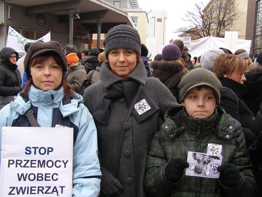 Stop przemocy wobec zwierząt. Zobacz zdjęcia