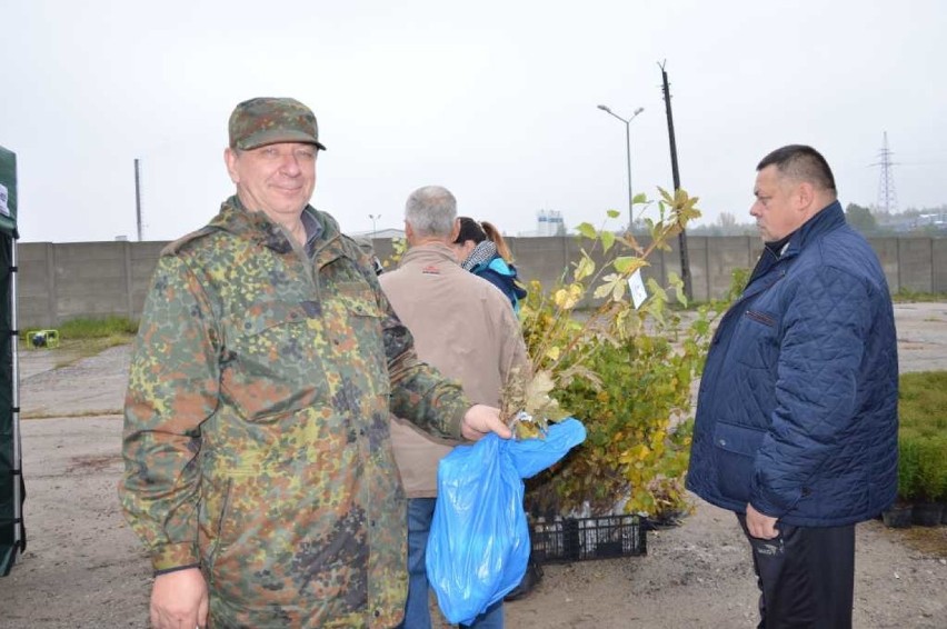 Udana akcja "Drzewko za makulaturę" w Starachowicach 