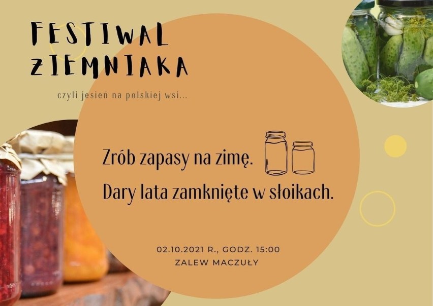 Festiwal ziemniaka...