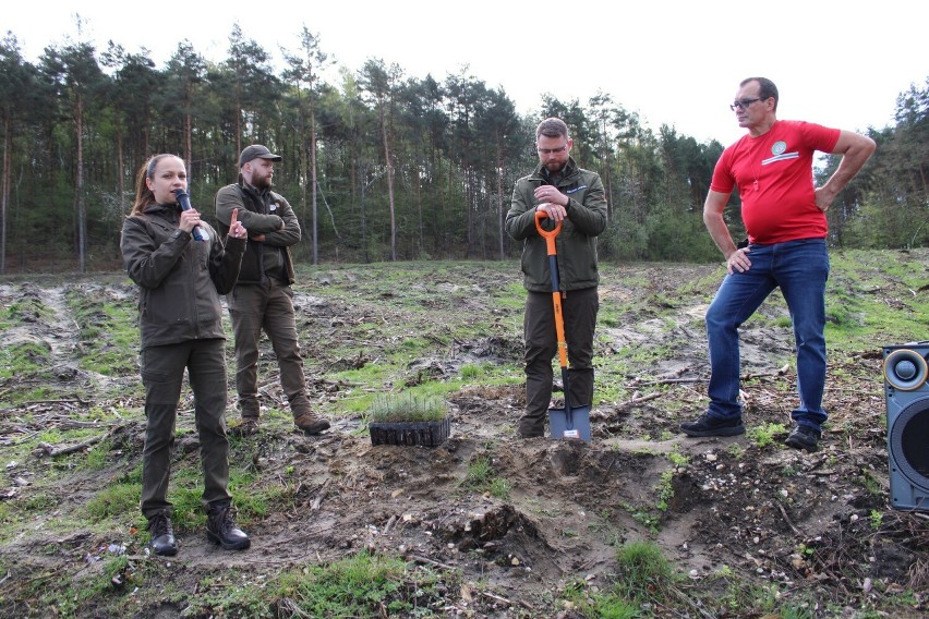 Uczniowie w Pogorzycach posadzili nowy las