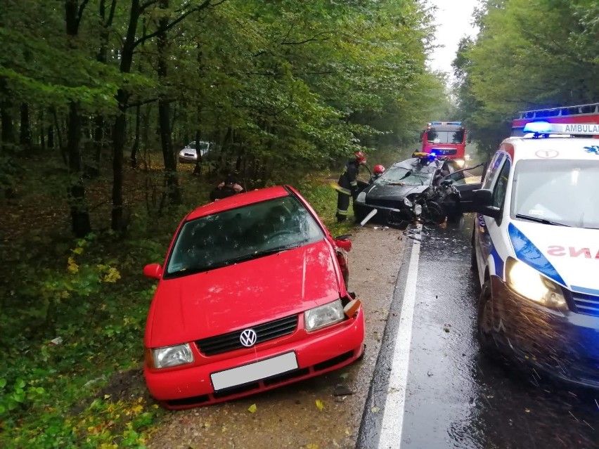 Strażacy podsumowali interwencje związane z usuwaniem skutków wichur w powiecie kartuskim