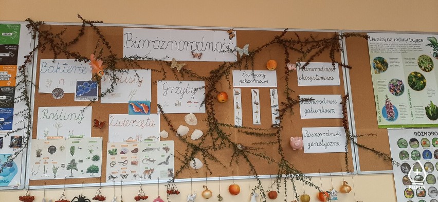Wyniki konkursu na ciekawą lekcję o bioróżnorodności w gminie Pelplin