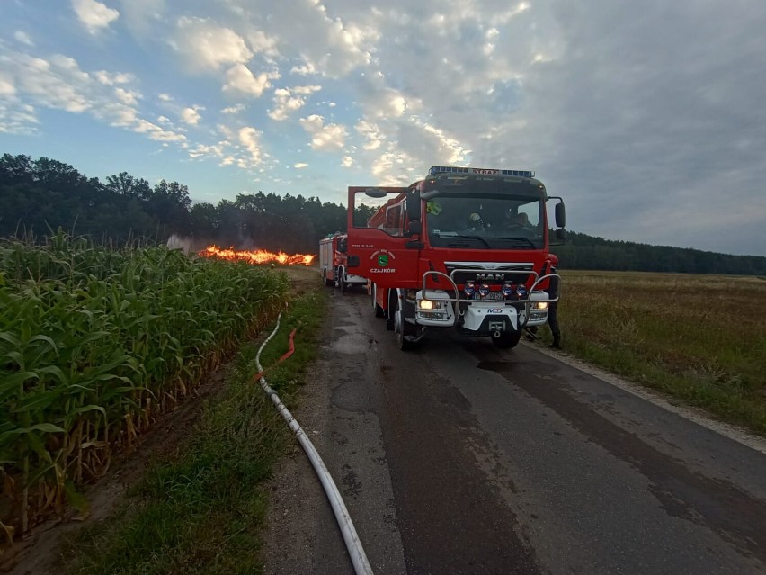 Groźny pożar wybuchł w gminie Brąszewice. Płonęły dwie wielkie hałdy drewna. W akcji 50 jednostek straży ZDJĘCIA, FILM